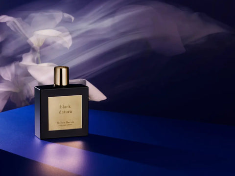 Black Datura