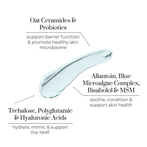 Rest Day Comfort Cream