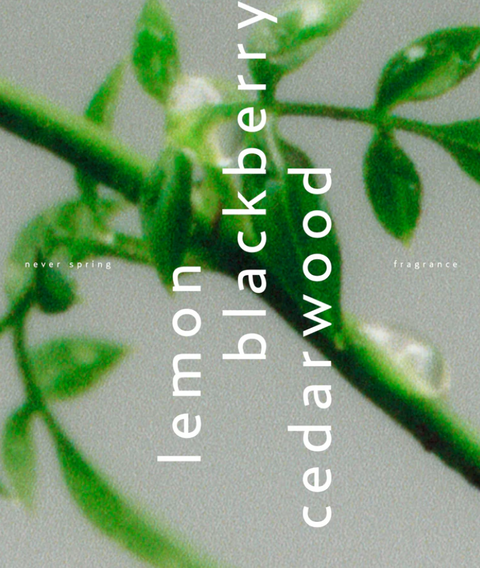 Never Spring Eau de Parfum