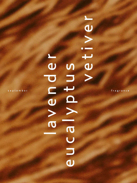 September Eau de Parfum