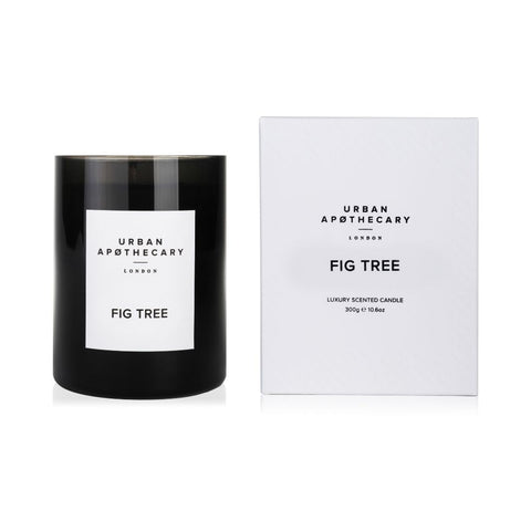 Duftkerze Fig Tree